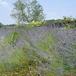 Borgo Montecucco Bauernhof