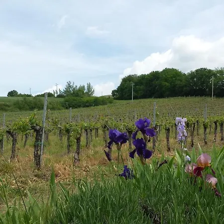 Borgo Montecucco Κατάλυμα σε φάρμα