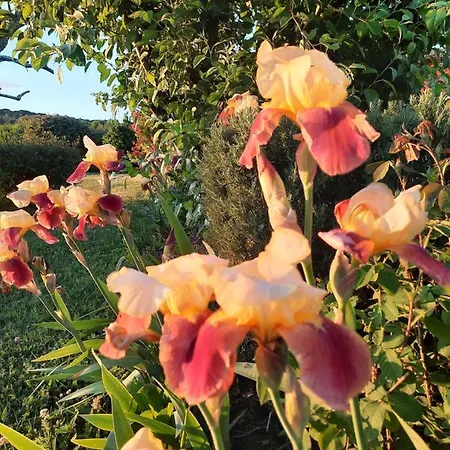 Borgo Montecucco Κατάλυμα σε φάρμα Τόντι