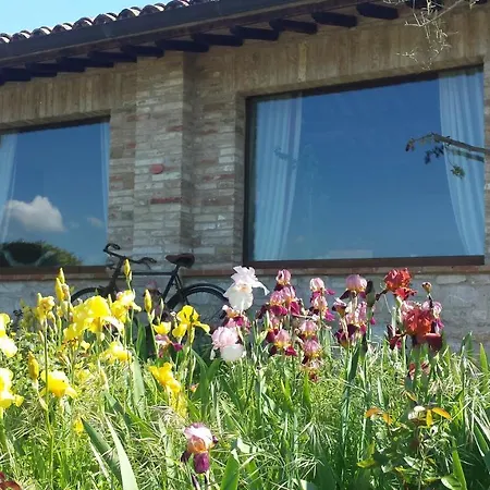 Borgo Montecucco Bauernhof