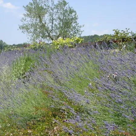 Borgo Montecucco בית חווה