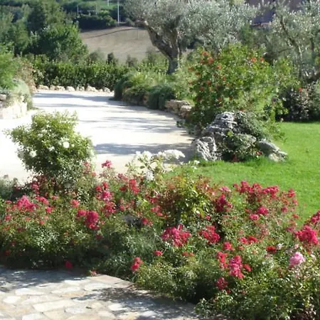 Borgo Montecucco * טודי
