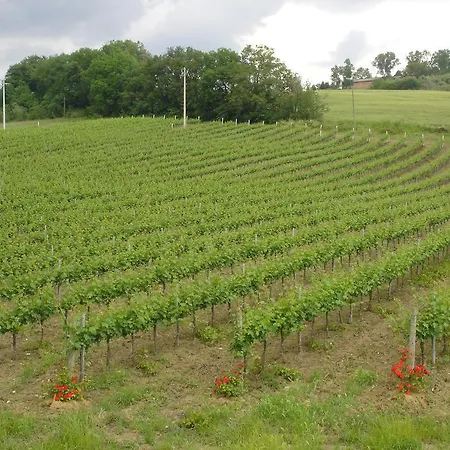 Borgo Montecucco *