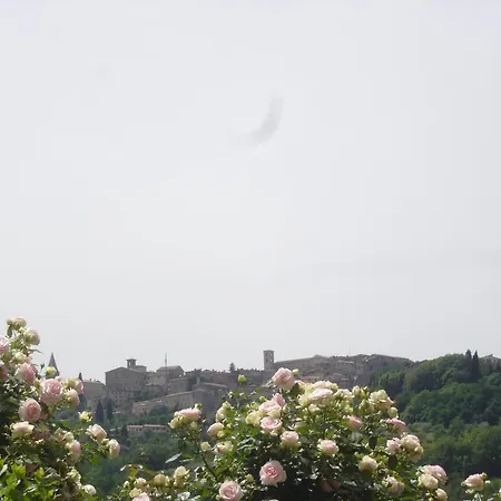Borgo Montecucco טודי