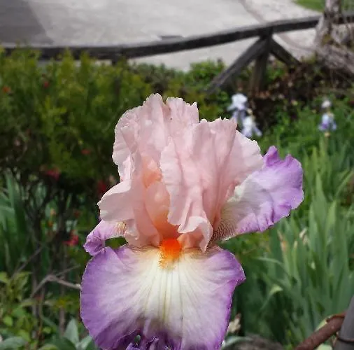 Borgo Montecucco Todi