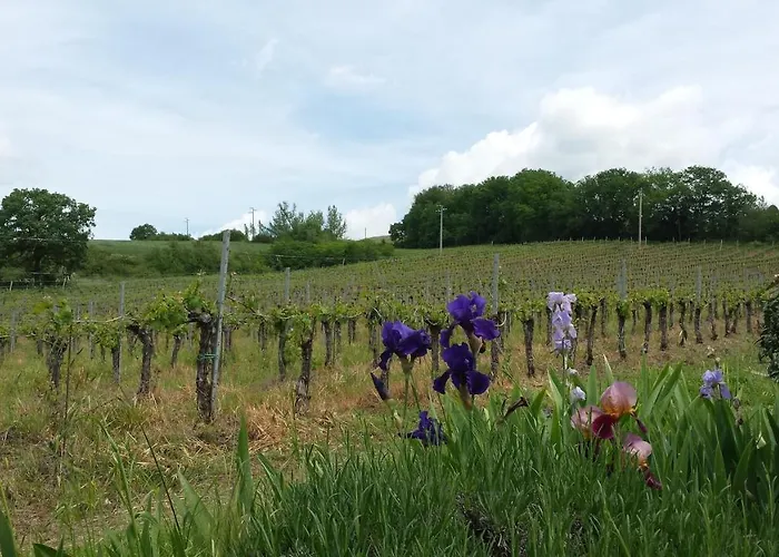 Borgo Montecucco Farm stay