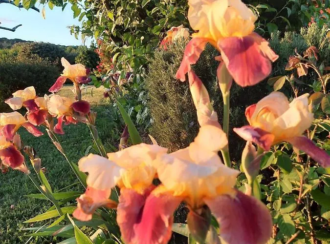 Borgo Montecucco Farm stay Todi