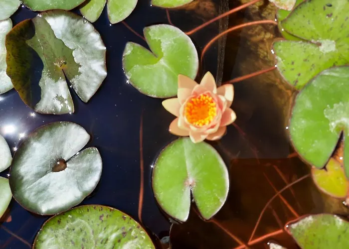 Borgo Montecucco Alloggio per agriturismo Todi