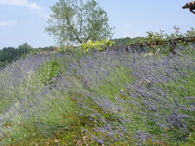 Borgo Montecucco Alloggio per agriturismo